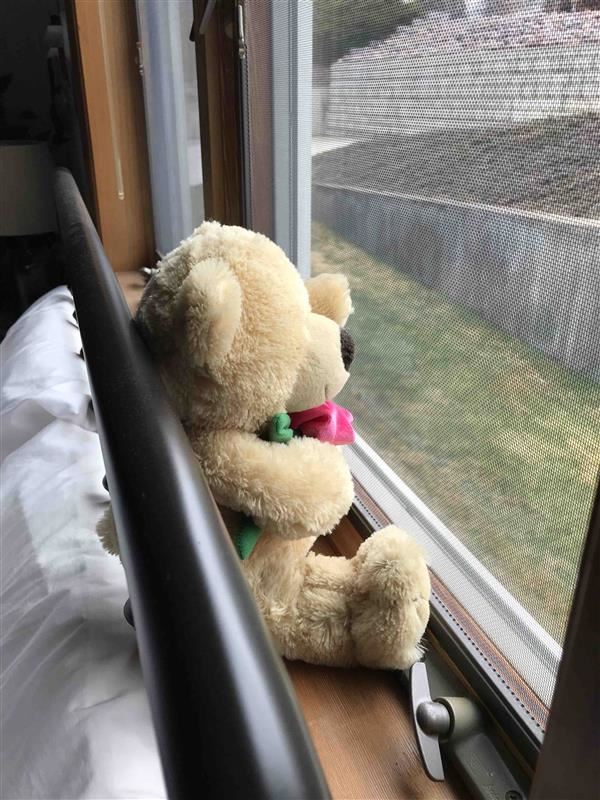 Bjorn Bear looks for friends on the Russell Bear Hunt! Bjorn Bear looks for friends on the Russell Bear Hunt!